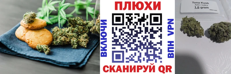 Cannafood конопля  Купить где  Гусь-Хрустальный 