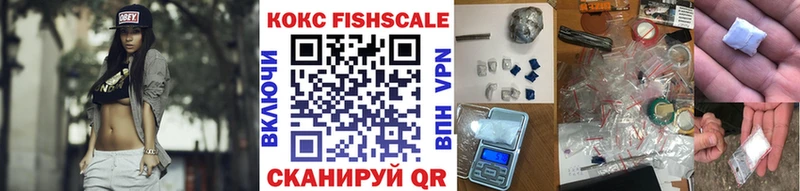 Купить закладки  Гусь-Хрустальный  COCAIN 99% 