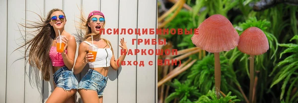 ешки Алзамай